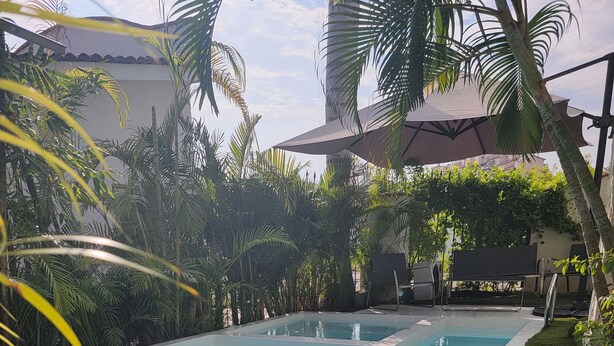 Una piscina rectangular con agua azul cristalina, rodeada de césped cuidado y palmeras.