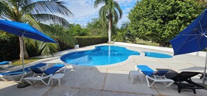 Una piscina con sillones de descanso y sombrillas, rodeada de palmeras y follaje.