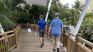 Un paseo marítimo de madera con barandillas, rodeado de exuberante follaje y palmeras.