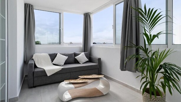 A modern living room with a grey sofa, a white pouf, and a large potted plant.
