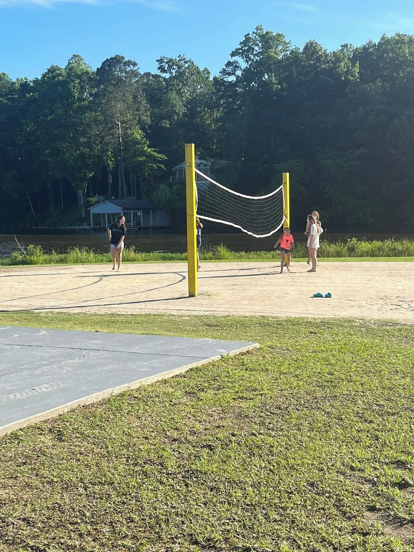 Un campo da pallavolo con una rete, circondato da erba e alberi.