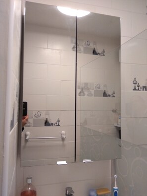 Shower, hair dryer, towels