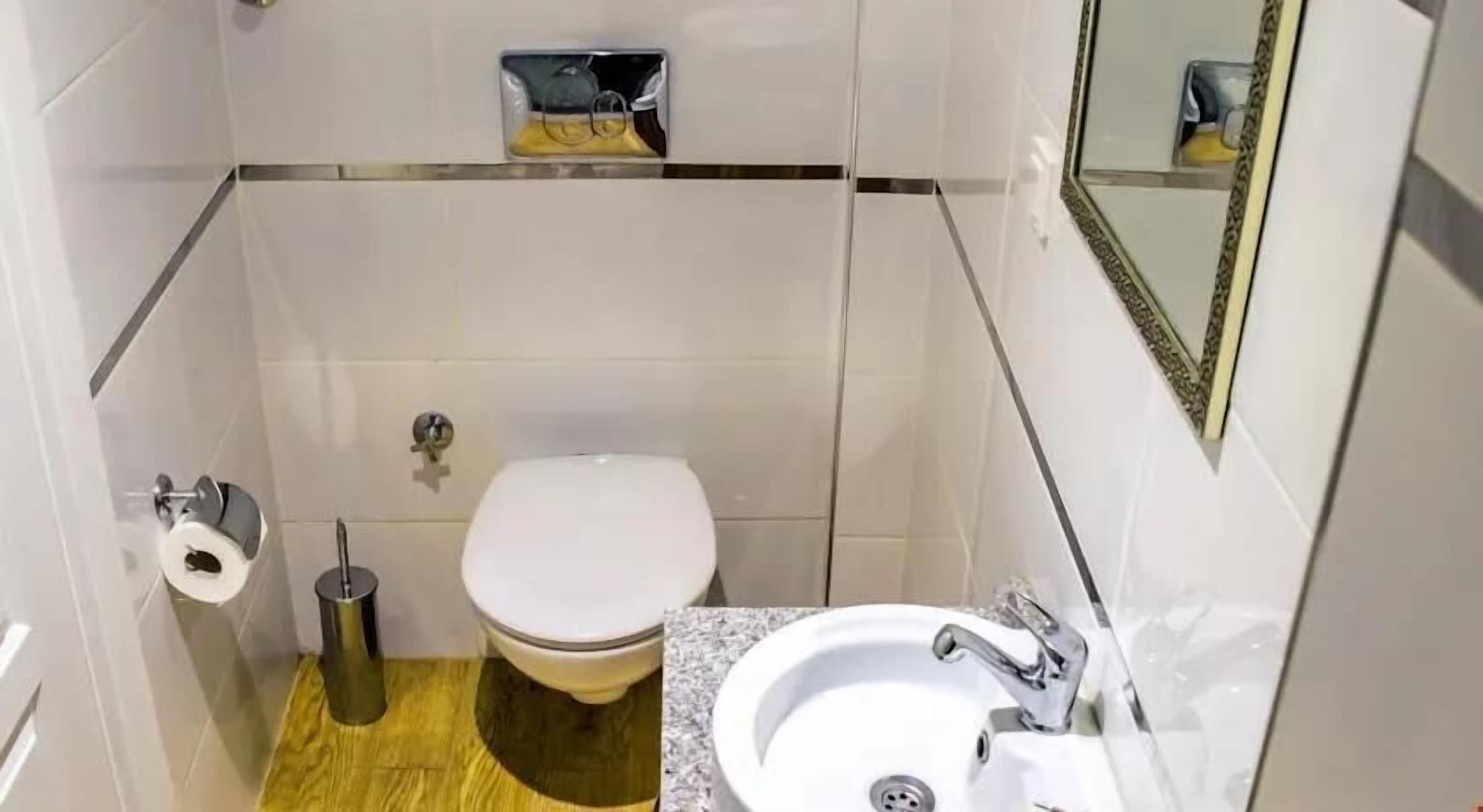 A small, compact bathroom with a toilet, a sink, and a mirror.