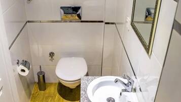 A small, compact bathroom with a toilet, a sink, and a mirror.