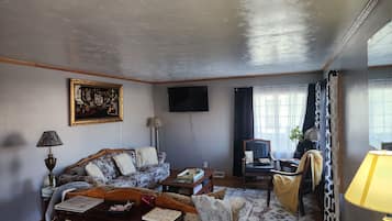 Televisor intel·ligent, reproductor de DVD, llibres i impressores