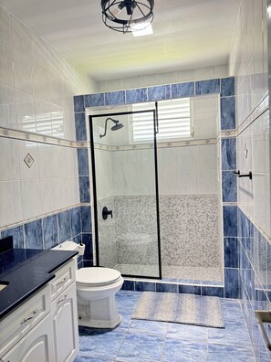 Hair dryer, bidet, towels, soap