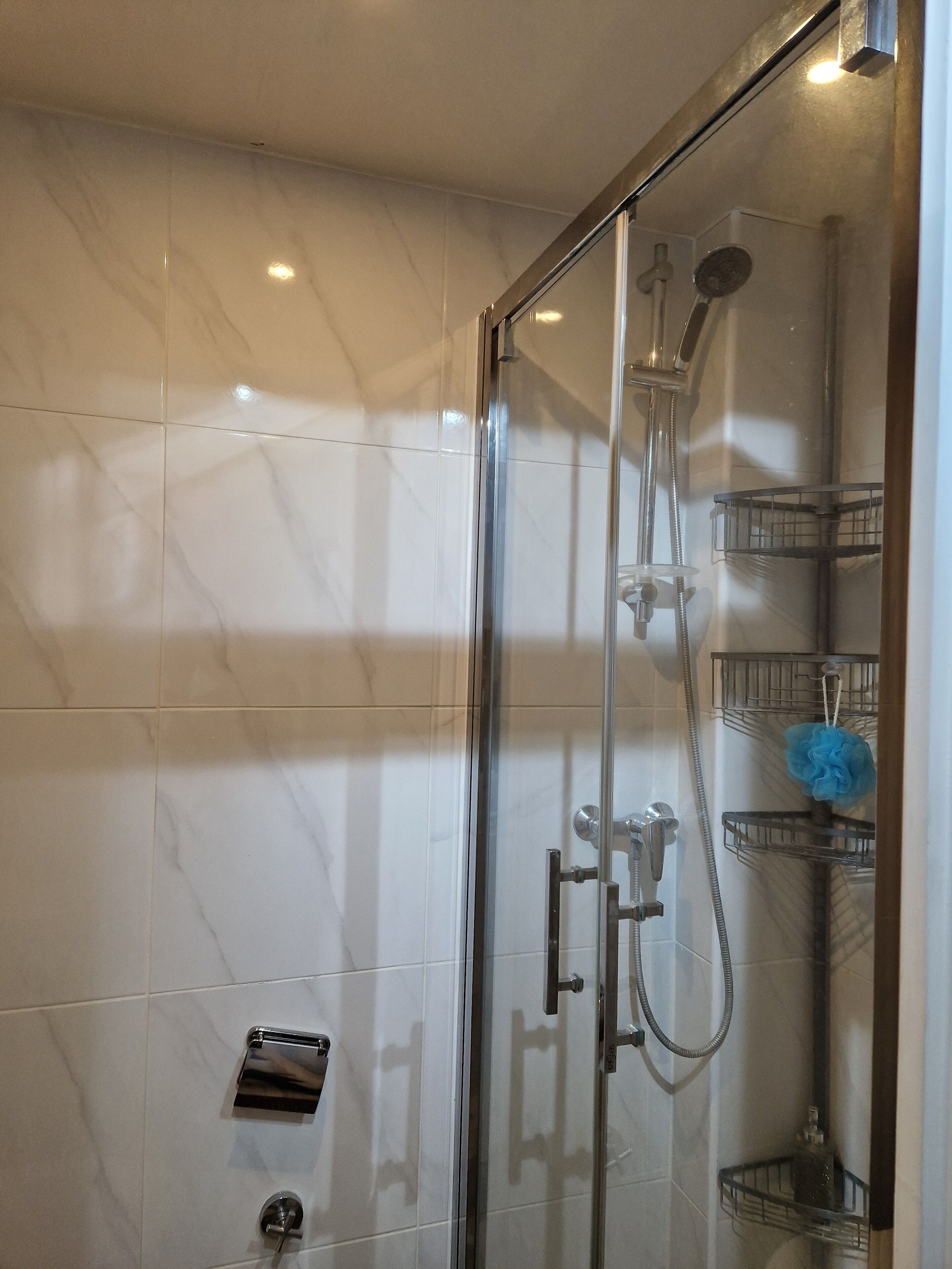 Hair dryer, towels, soap, toilet paper
