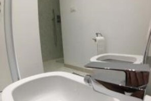 Shower, hair dryer, bidet, towels