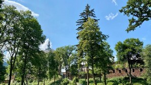 Garden - Zamek Sarny (Radkow)