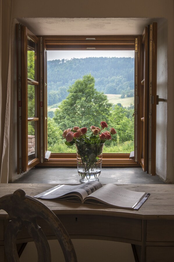 Individually decorated, individually furnished, desk, laptop workspace - Zamek Sarny (Radkow)