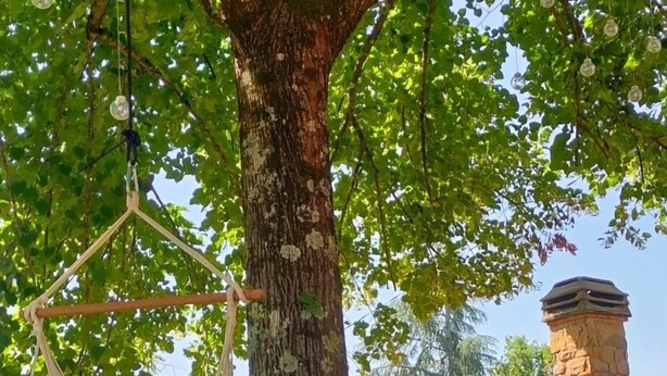 Un arbre avec un hamac suspendu à ses branches, un bâtiment en pierre rustique doté d’une cheminée, et une plante en pot à proximité.