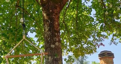 Farmhouse in Tuscany where you can spend magnificent moments of relaxation with fireplace and pool