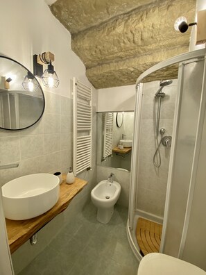 Shower, hair dryer, bidet, towels