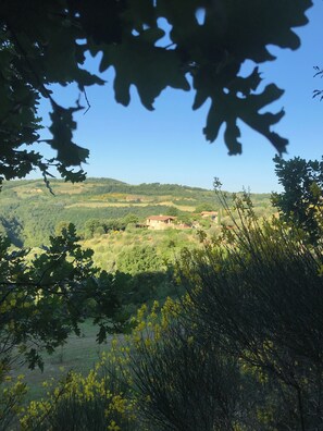 Property grounds - CHARMING FLAT IN A LOVELY HILLTOP VILLA WITH POOL (Umbria)