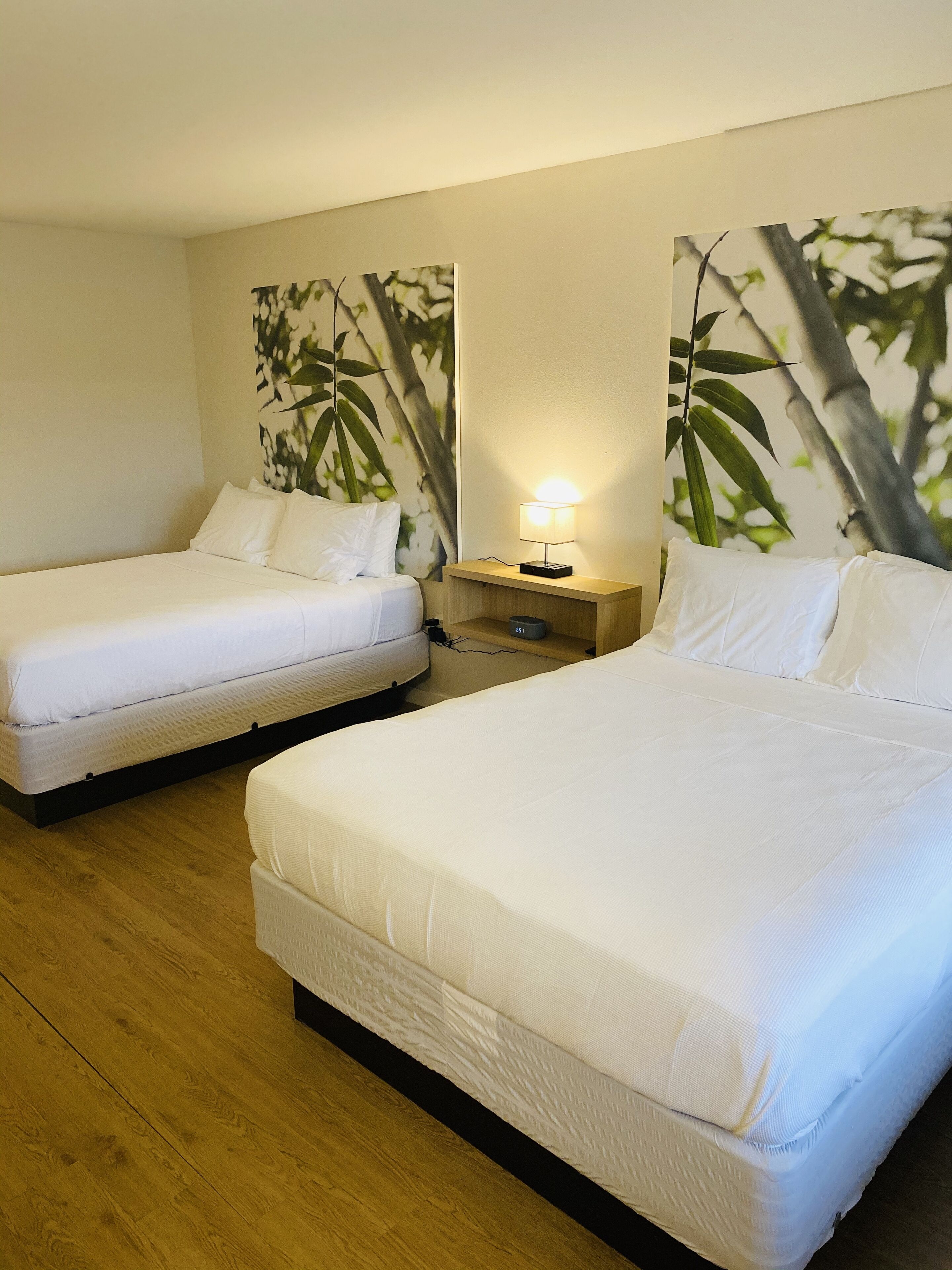 A hotel room with two single beds, a nightstand with a lamp, and a wall with a large plant mural.