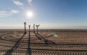 A desert landscape with palm trees and tire tracks. - Gorgeous apartment in Estepona (Estepona)