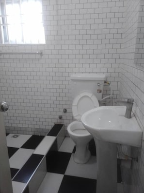Bathroom - Danson Lodge Guest House  (Amasaman)