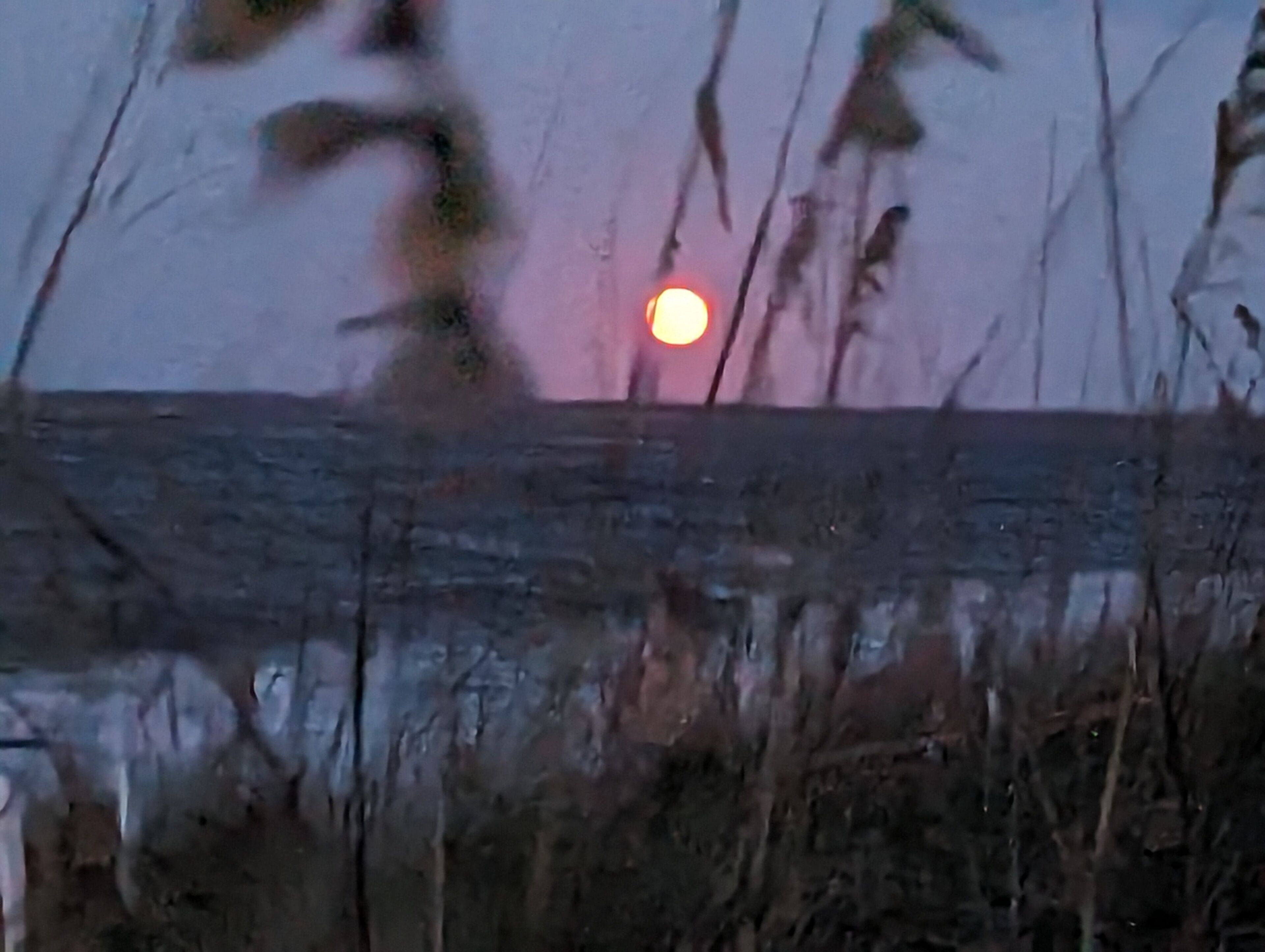 Een zonsondergang met een zichtbare zon achter een houten hek.