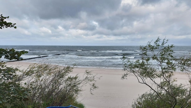 Een strand met een trap die naar de kust leidt, omgeven door bomen en een bewolkte lucht.