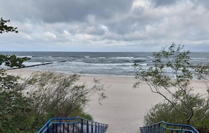 Nær stranden