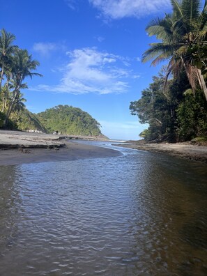 A beach with clear water, palm trees, and a forested hill in the background.