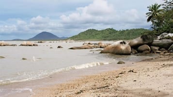 A beach with large rocks, a palm tree, and a mountain in the background.