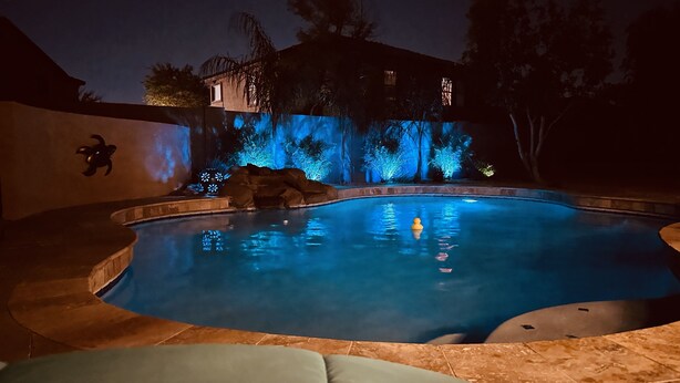 Una piscina con borde de piedra y decoración de tortuga en la pared.