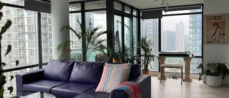 Smart TV, books, computer monitors