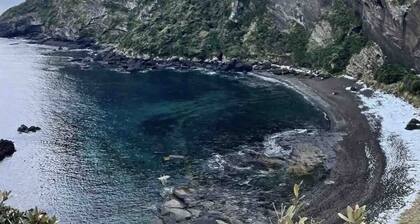 Spacious and Luxurious Home near Seongsan Ilchulbong/Aquaplanet/Udo