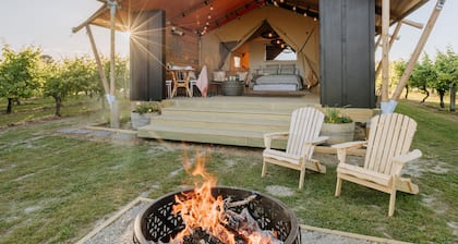 Villas & Vines Glamping