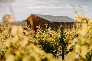 Exterior - Villas & Vines Glamping (Clive)