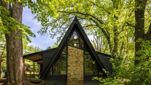 A cabin with a stone facade, triangular roof, and large windows, surrounded by trees. - Lakefront with Lake Access•Hot Tub•Firepit•Pets (Rockbridge)