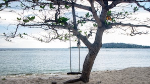 Un árbol con un columpio en una playa arenosa junto al agua.