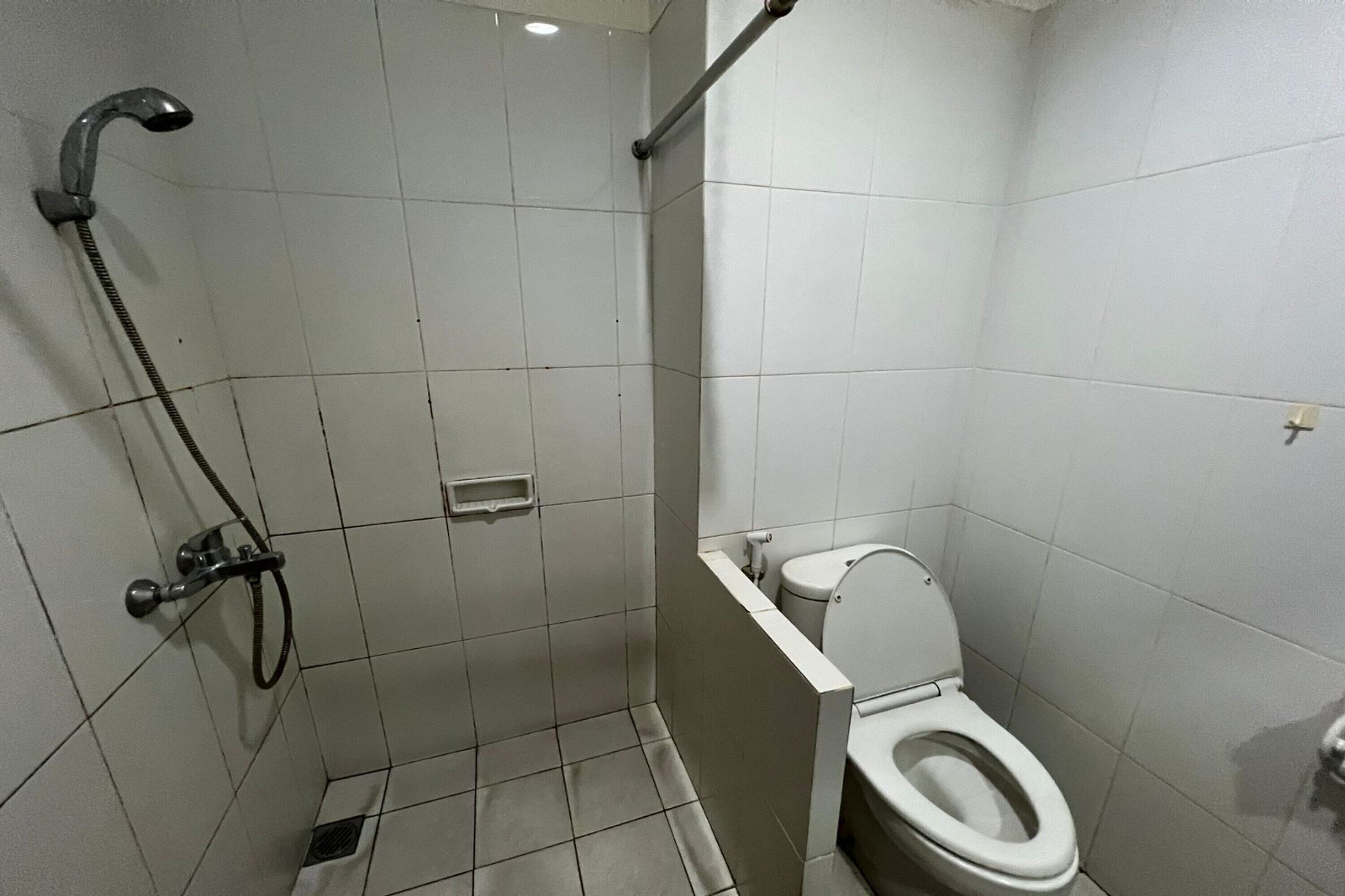 A small, tiled bathroom with a shower, toilet, and a handrail.
