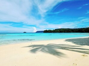 Vue sur la plage ou l’océan