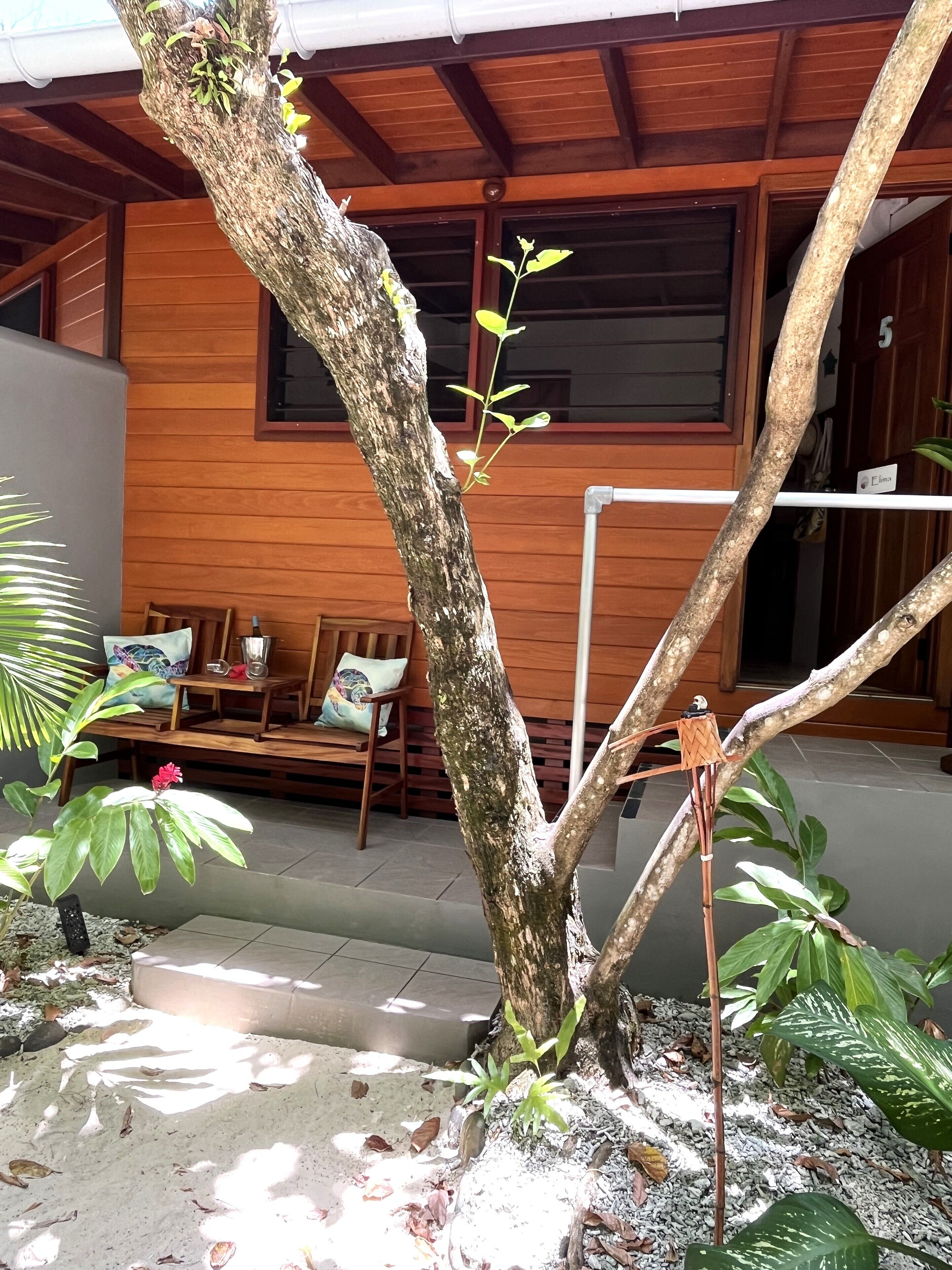 A wooden building with a porch, a bench, and a small tree with a birdhouse.