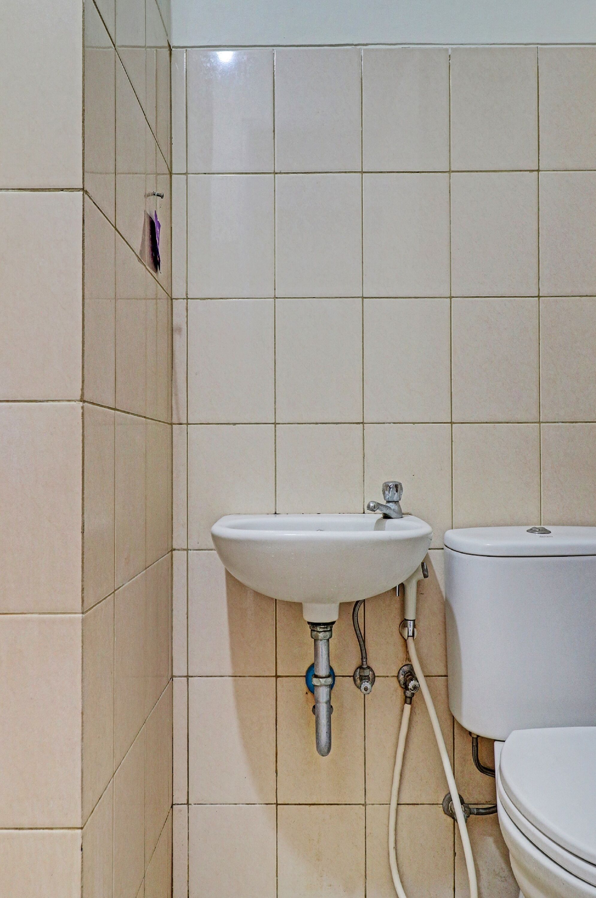 A bathroom with a white sink, a toilet, and tiled walls.