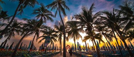 Servicio gratuito de transporte a la playa