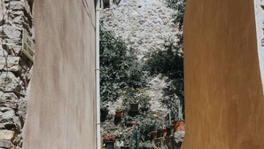 A narrow stone staircase with a metal handrail, flanked by buildings with a rustic stone facade and a wooden door. - CASA Farniente Appart Cocooning Provence Verte (Montfort-sur-Argens)