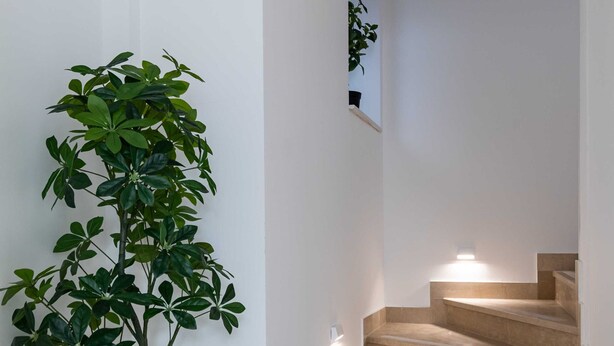 A staircase with beige steps and a black potted plant on the left. - Room Odin (Dubrovnik)