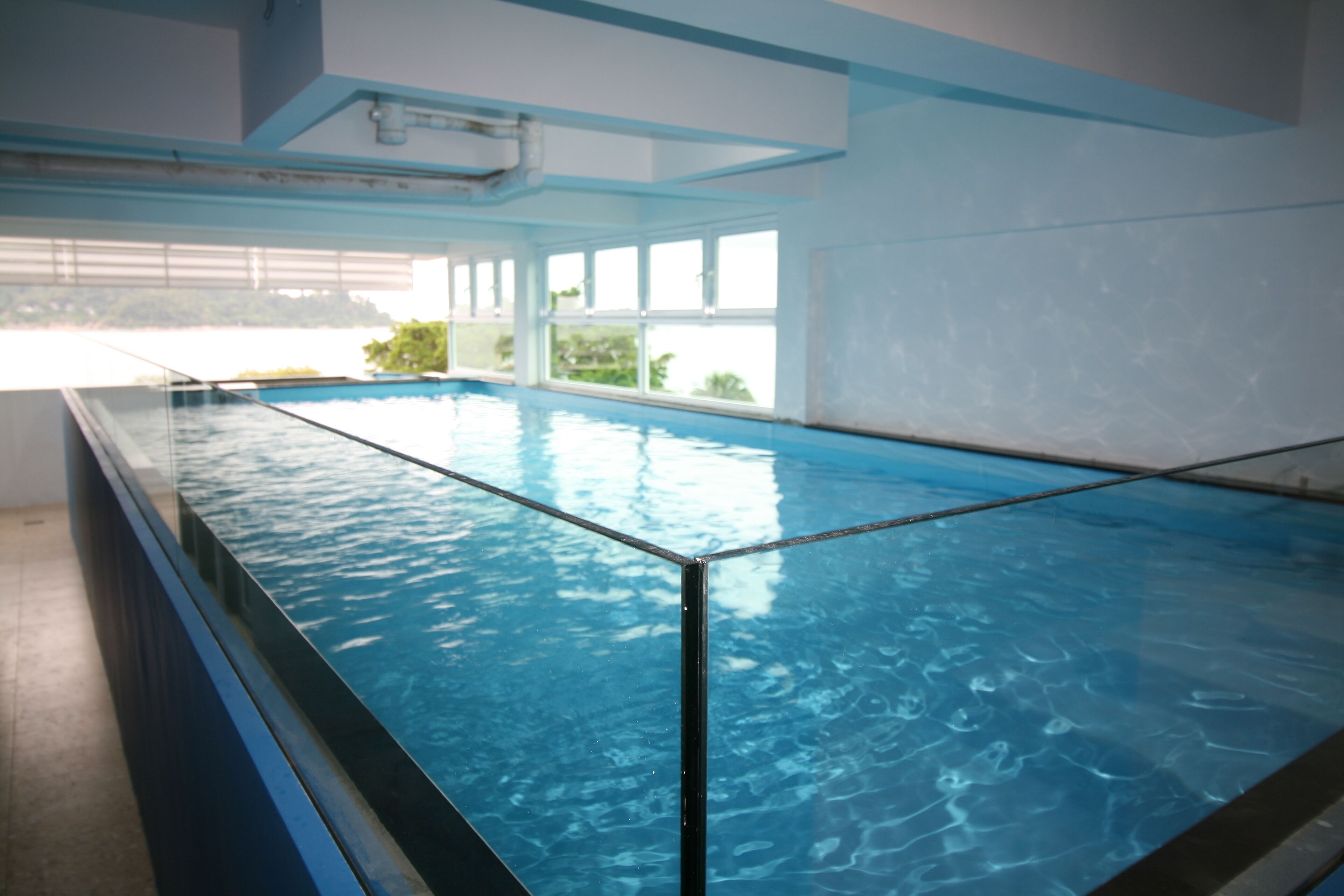 Una piscina interior con agua cristalina, rodeada de paredes y ventanas de vidrio.