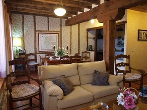 TV, fireplace, books