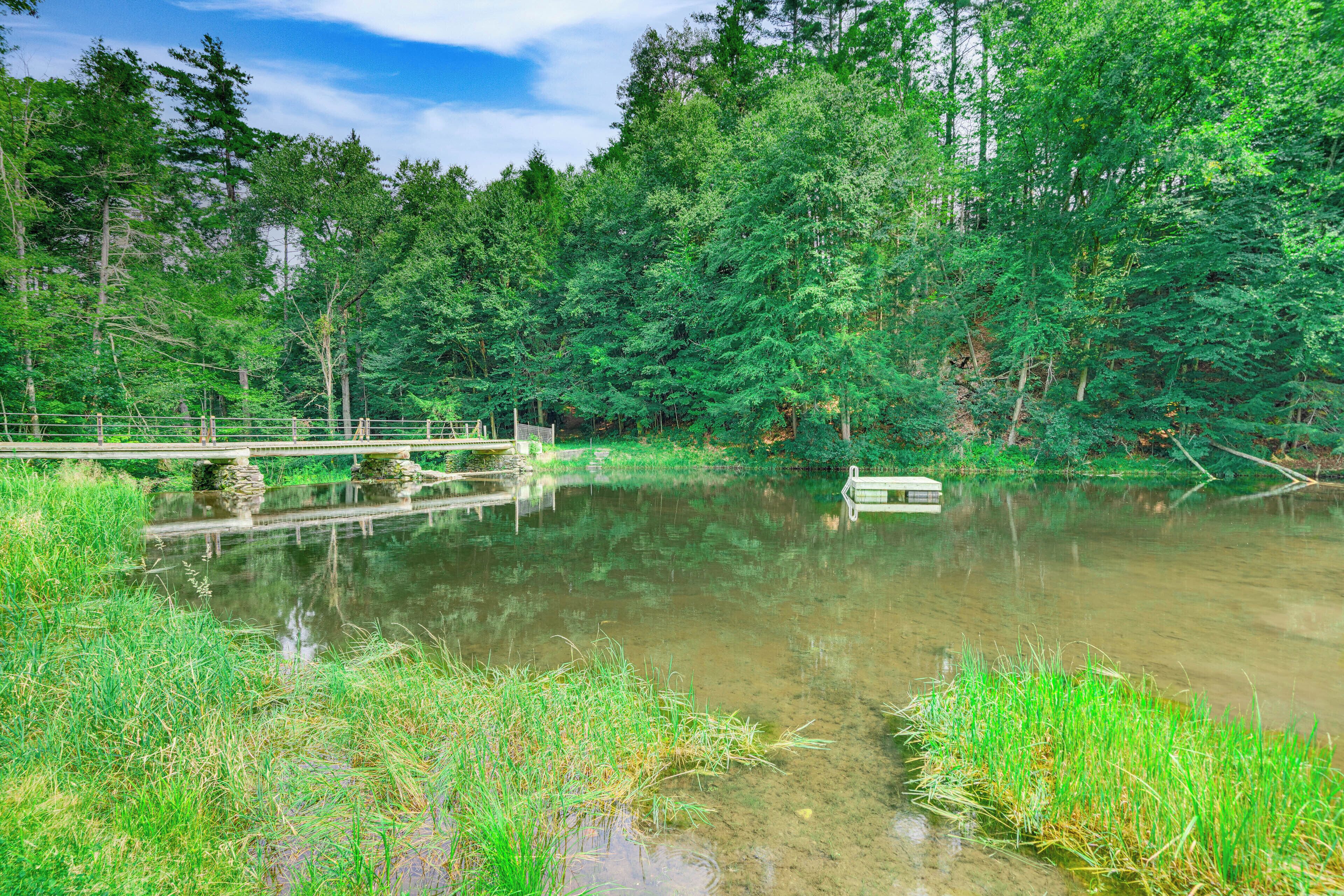 A serene pond surrounded by lush greenery and a wooden bridge.