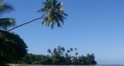 Venez vous ressourcer à " le temps d'une île", profitez des couchers de soleil.