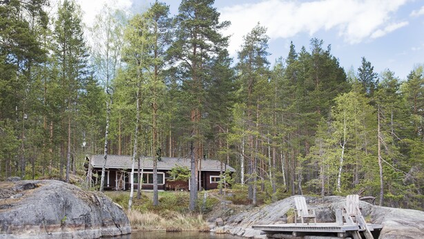 Eksteriør