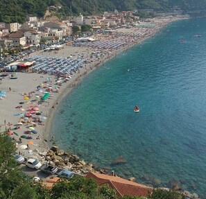 在海灘附近、海灘接駁車、間海灘酒吧