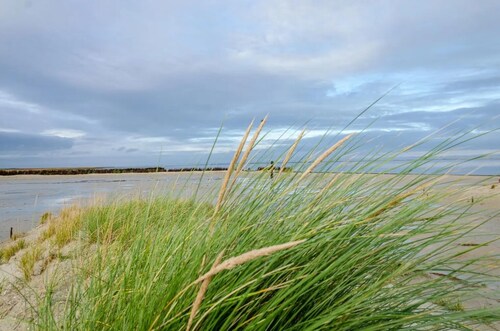 Fewo Kira ruhige Lage, mit Hund an der Nordsee