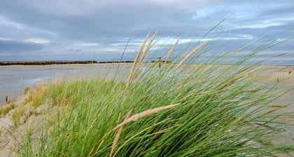 Fewo Kira ruhige Lage, mit Hund an der Nordsee