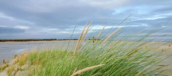 Apartment Langeoog directly on the dike with WLAN and terrace