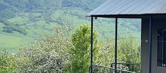 Dez Guesthouse, cozy house surrounded by charming forests and mountains 
